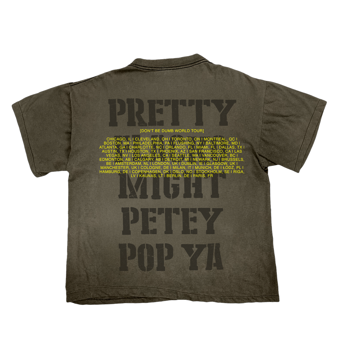 ASAP Rocky - Don’t Be Dumb Tour Pretty Flacko T-Shirt